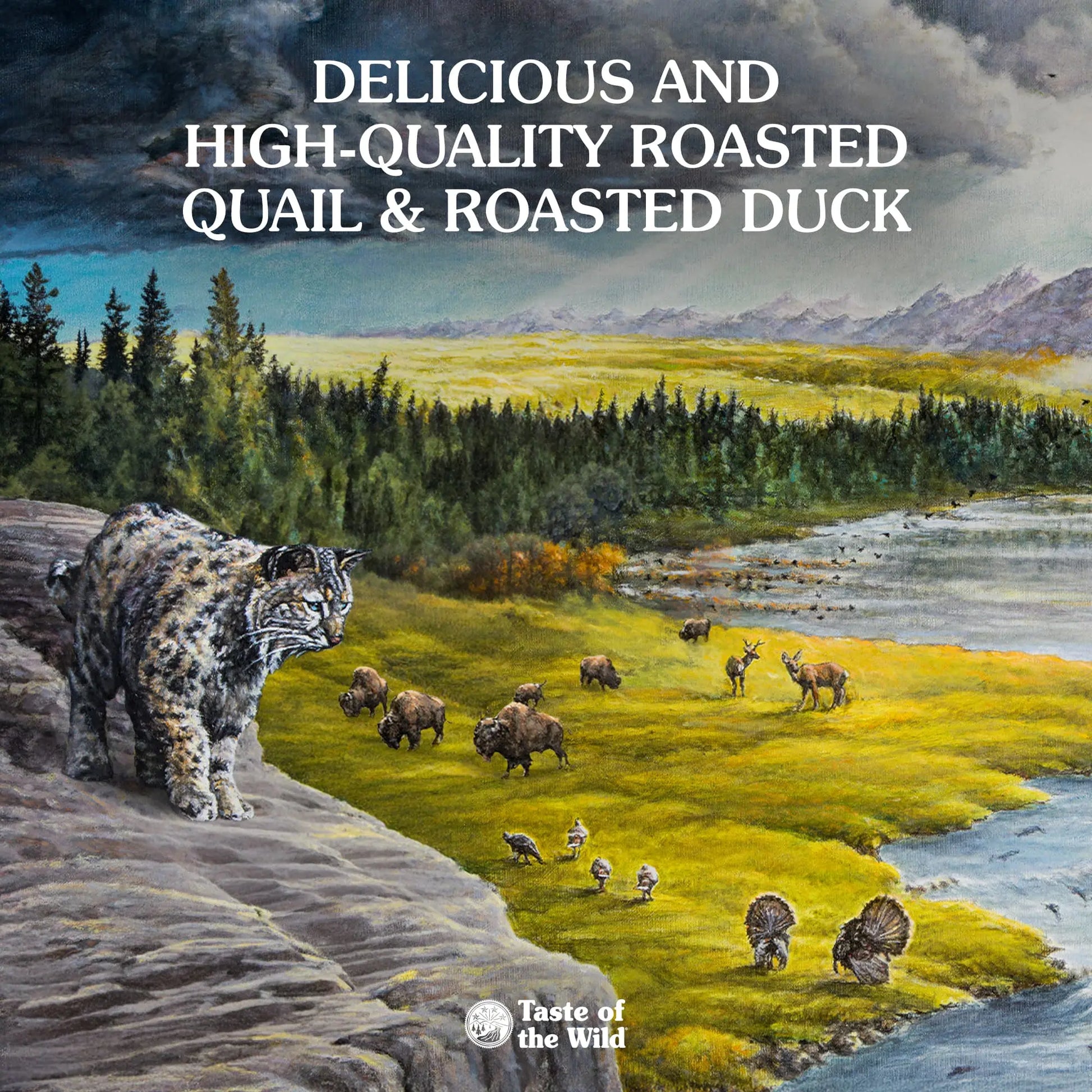 Taste of the Wild Feline Lowland Creek All Life Stages with Roasted Quail & Roasted Duck Dry Cat Food   | Canine & Co