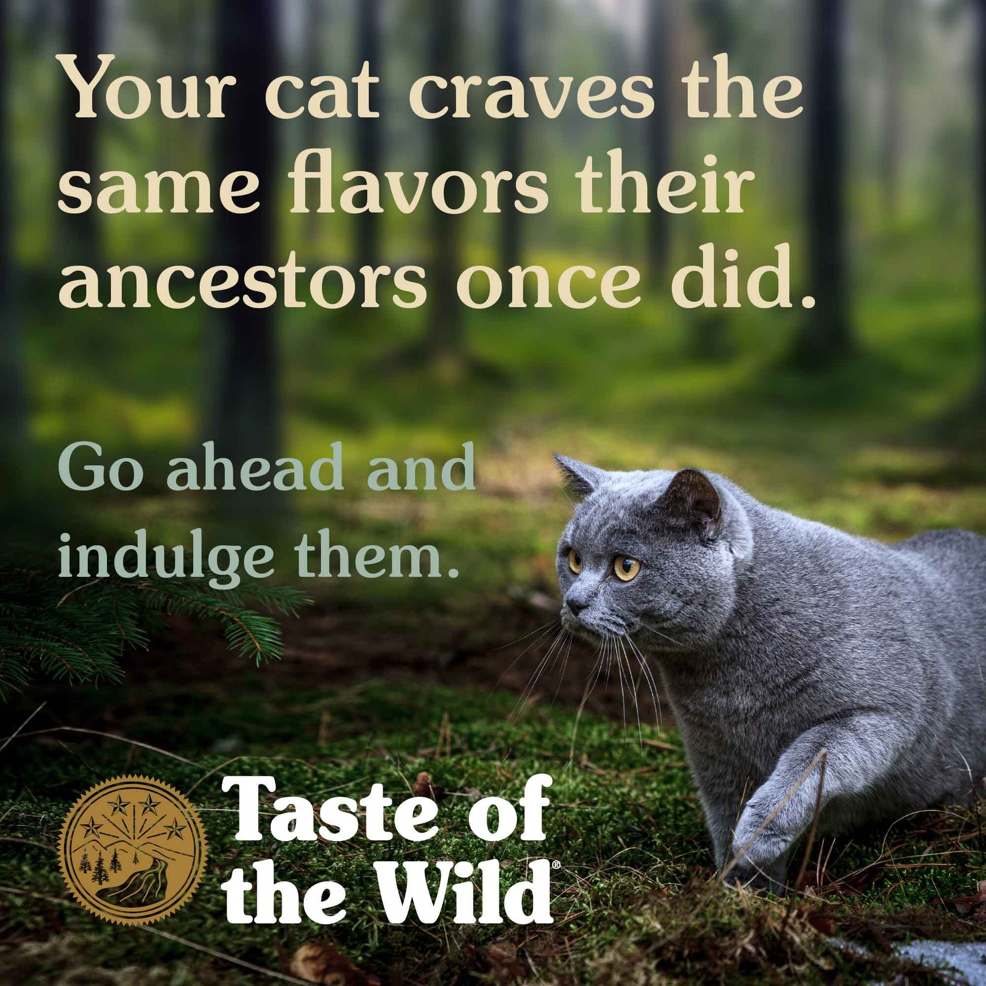 Taste of the Wild Feline Lowland Creek All Life Stages with Roasted Quail & Roasted Duck Dry Cat Food   | Canine & Co