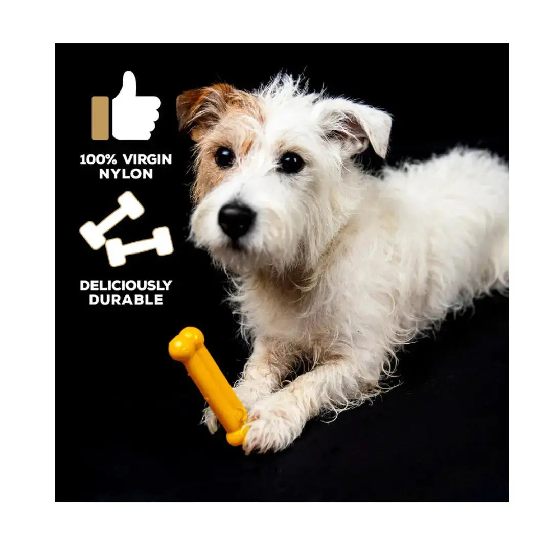 Tasty Bone Classic Chew Toy Chicken Flavour   | Canine & Co