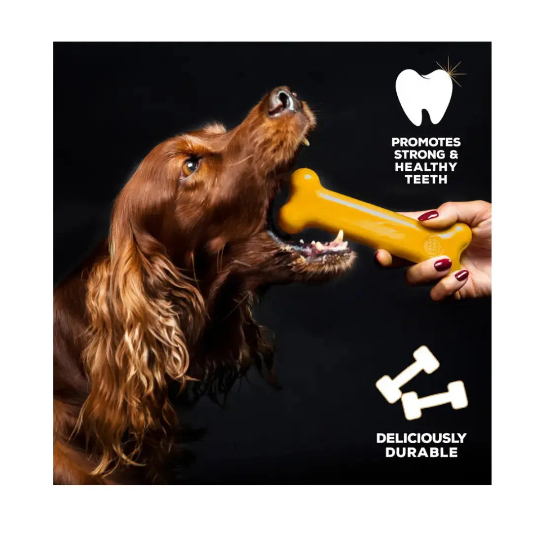 Tasty Bone Classic Chew Toy Chicken Flavour   | Canine & Co