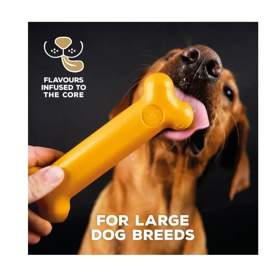 Tasty Bone Classic Chew Toy Chicken Flavour   | Canine & Co