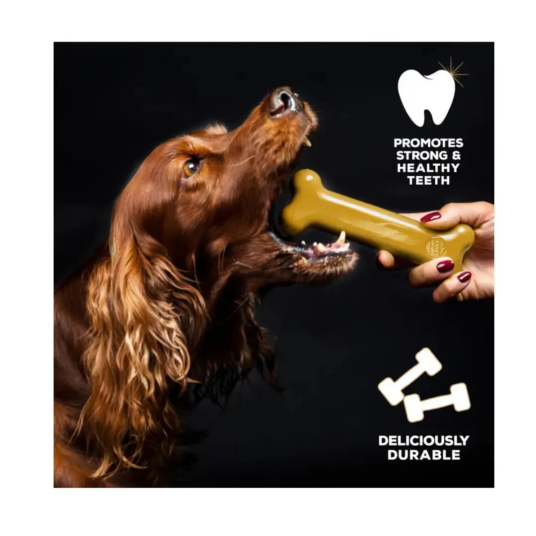 Tasty Bone Classic Chew Toy Peanut Butter Flavour   | Canine & Co