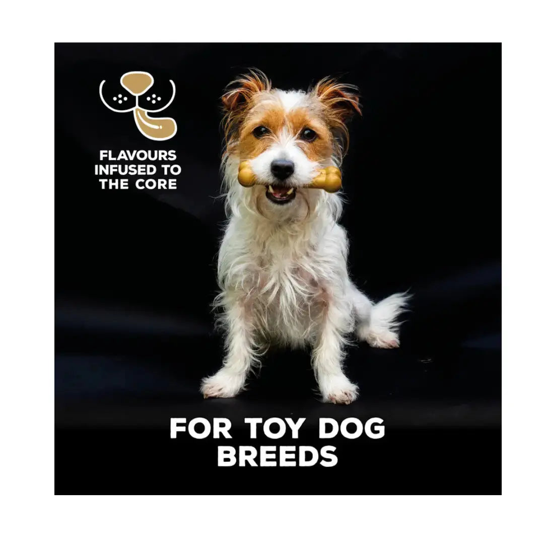 Tasty Bone Classic Chew Toy Peanut Butter Flavour   | Canine & Co