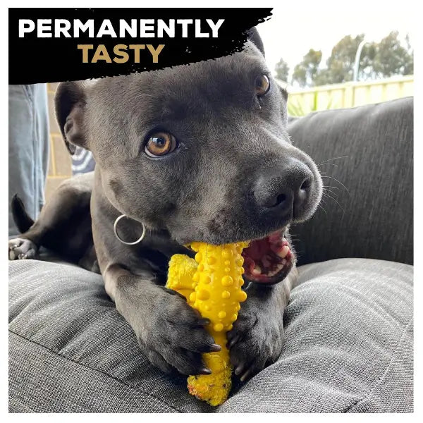 Tasty Bone Classic Chew Toy Braai Chicken Flavour