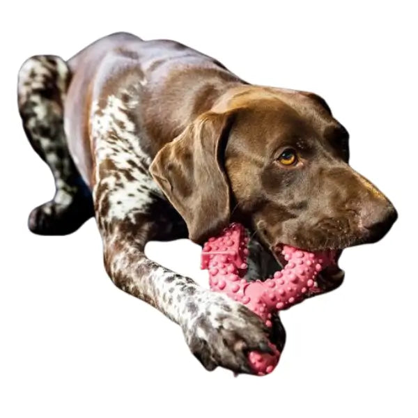 Tasty Bone Classic Chew Toy Boerewors Flavour