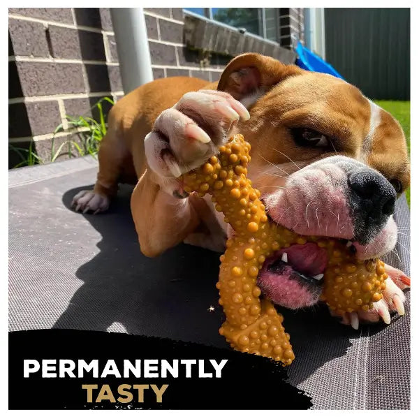 Tasty Bone Classic Chew Toy Lamb Chop Flavour