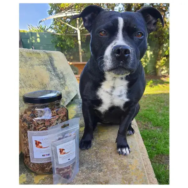 The Lekker Barkery Trick and Treat Dog Treats   | Canine & Co