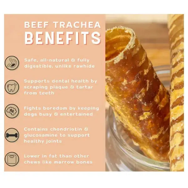 The Ostrich Lady Beef Trachea Dog Treat   | Canine & Co