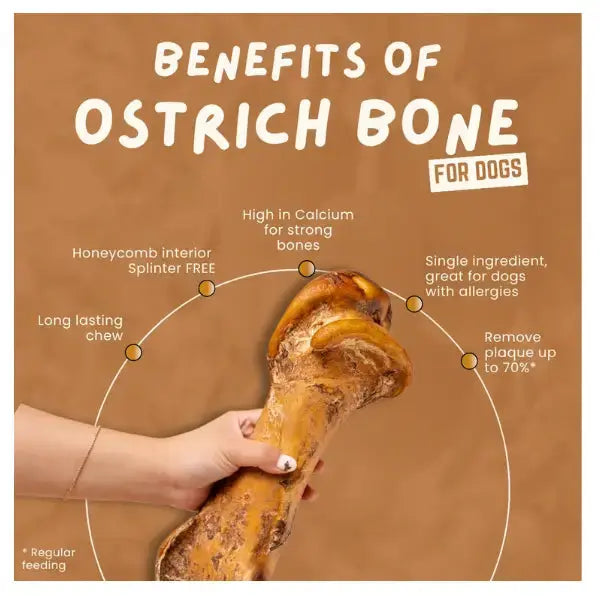 The Ostrich Lady Ostrich Mega Hip Bone Dog Treat   | Canine & Co