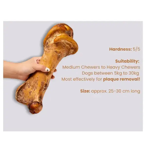The Ostrich Lady Ostrich Mega Hip Bone Dog Treat   | Canine & Co