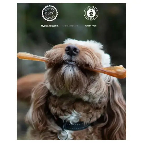 The Ostrich Lady Ostrich Sinews Dog Treat   | Canine & Co