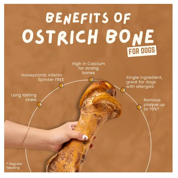 The Ostrich Lady Ostrich Mega Hip Bone Dog Treat