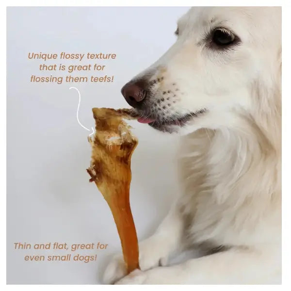 The Ostrich Lady Ostrich Flatties Dog Treat
