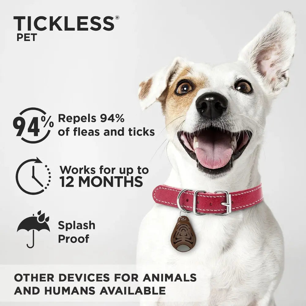Dog wearing Tickless collar, repelling fleas and ticks for 12 months, splash-proof design.