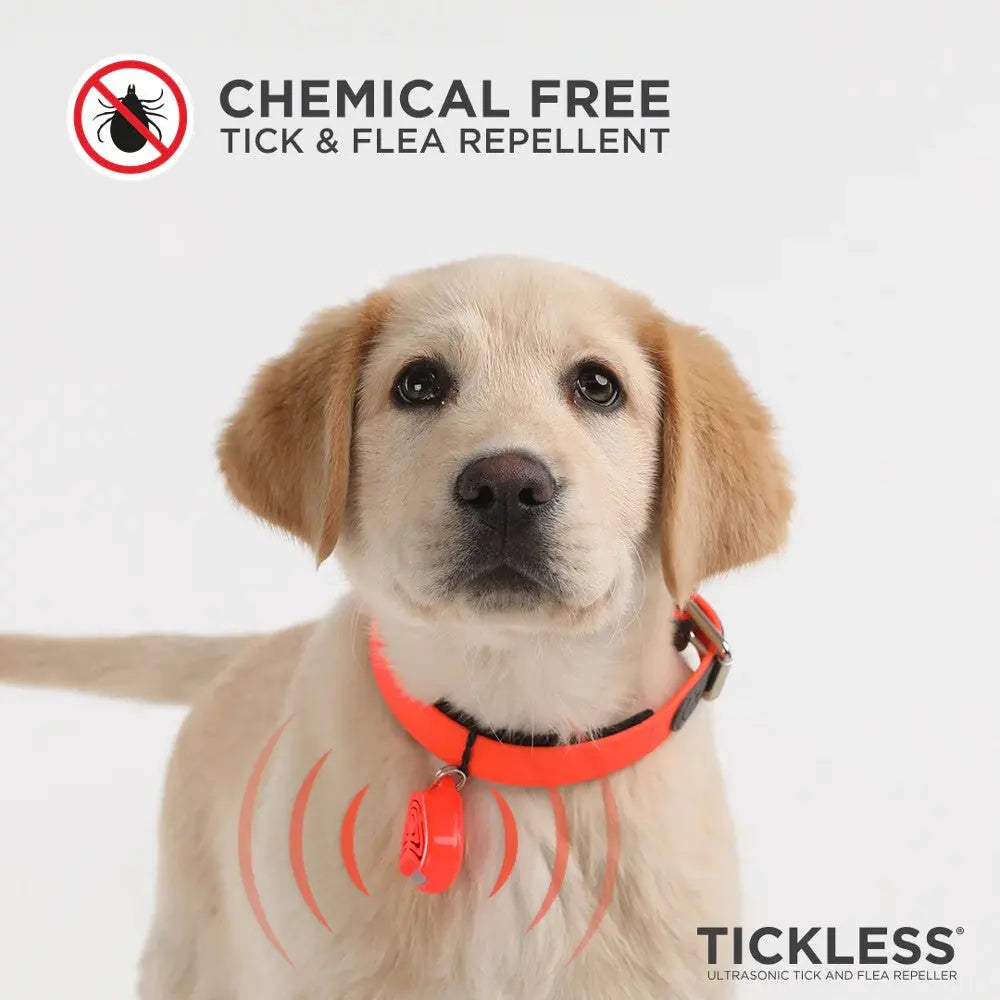 Chemical-free ultrasonic tick and flea repellent collar for dogs, ensuring safe protection.