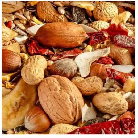 Versele-Laga Exotic Nuts Mix   | Canine & Co