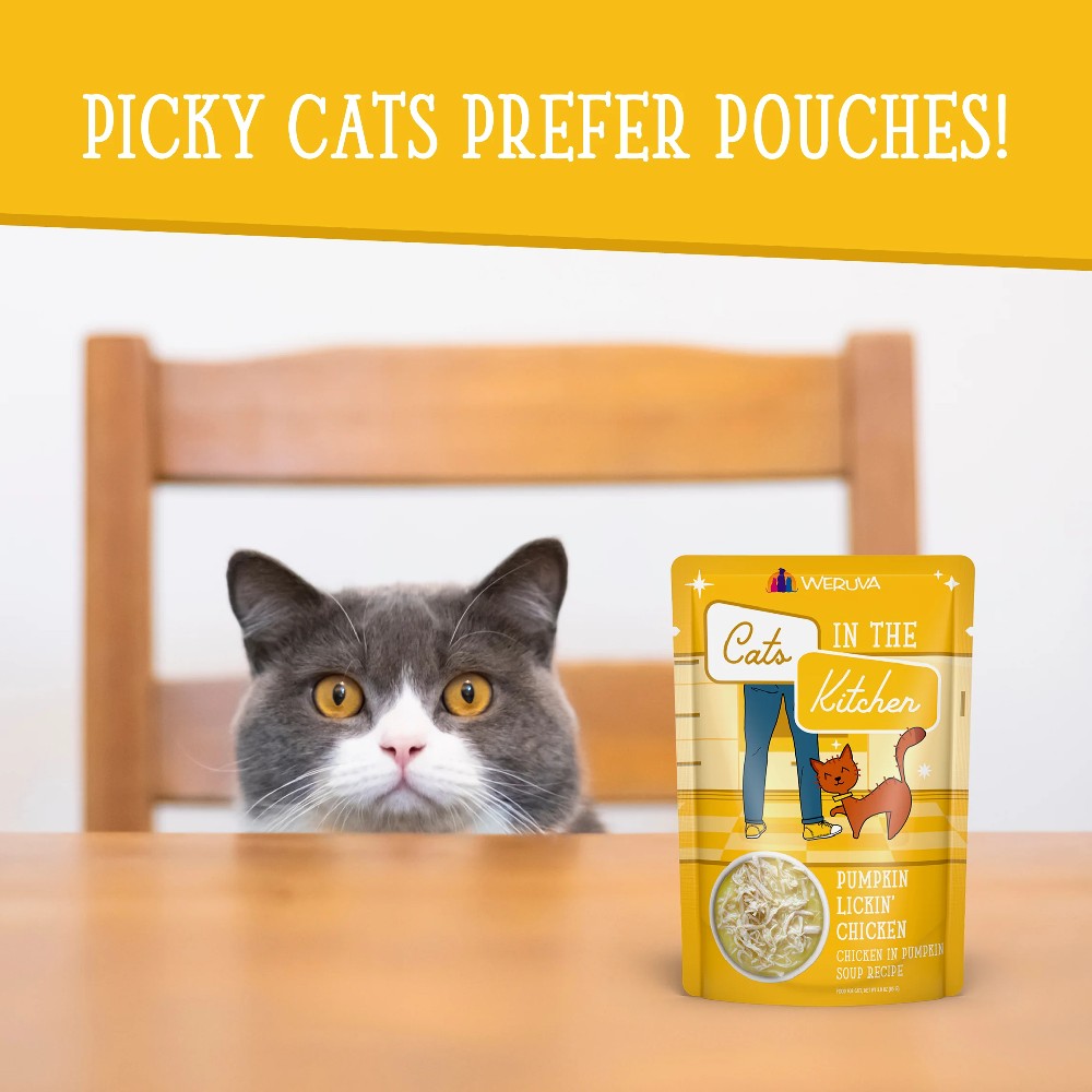 Weruva Pouches - Pumpkin Lickin' Chicken - product detail image South Africa orders