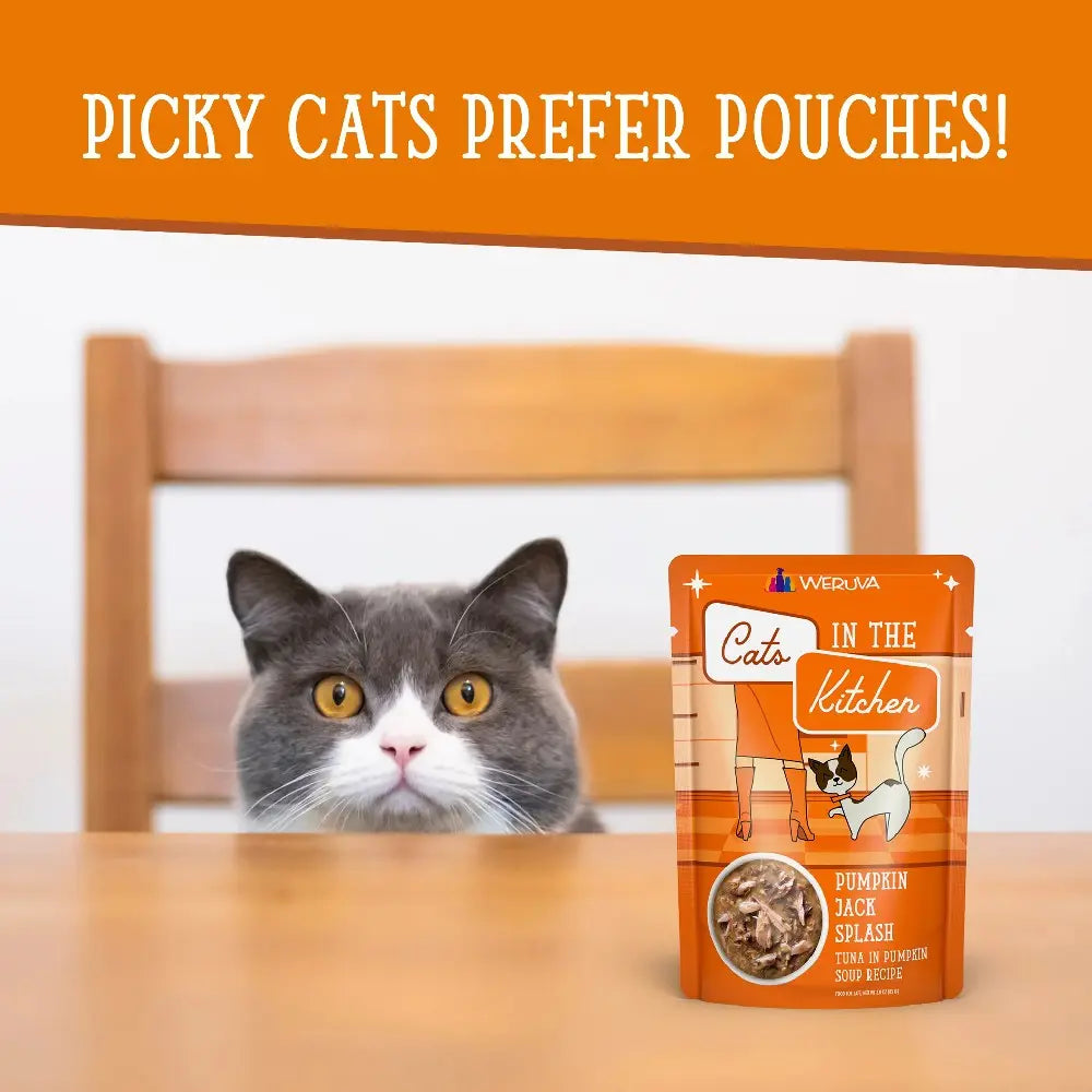 Picky cat enjoying a pouch of Cats in the Kitchen Pumpkin Jack Splash cat food.