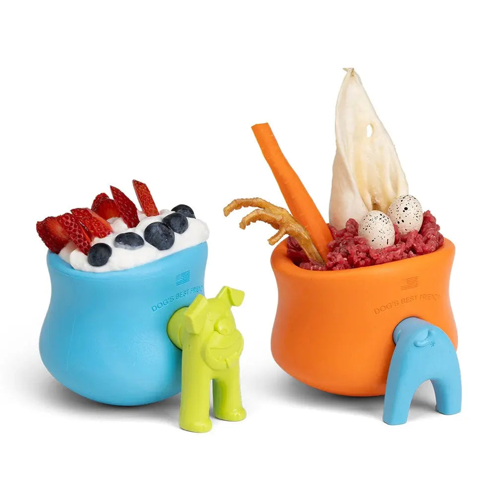 Colorful dog treat bowls filled with healthy snacks and fruits for pets.