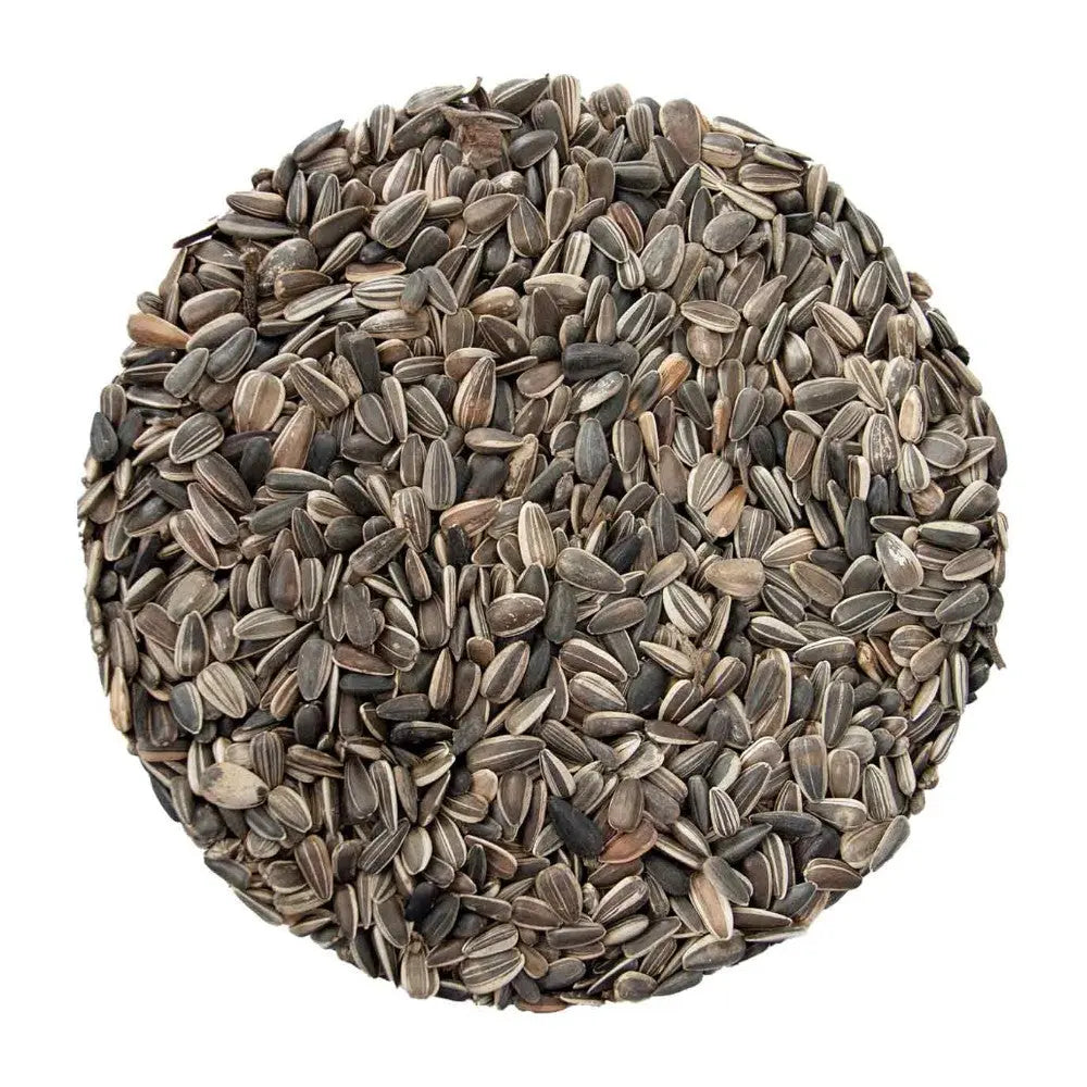 A circular arrangement of sunflower seeds showcasing their natural texture and color.
