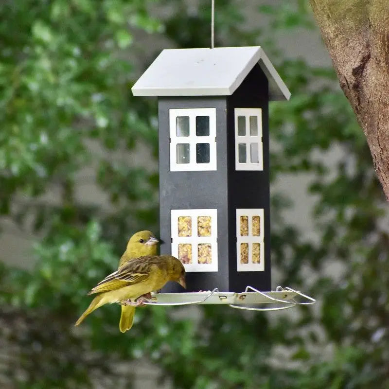 Yellow birds feeding at a stylish birdhouse in a lush garden setting.