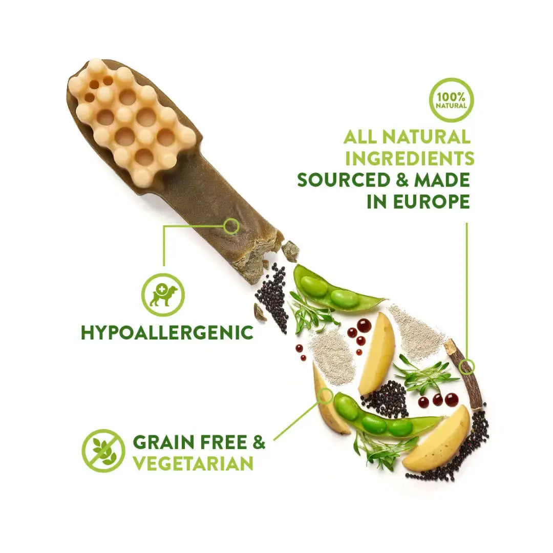 Whimzees Discovery Dog Dental Treats   | Canine & Co