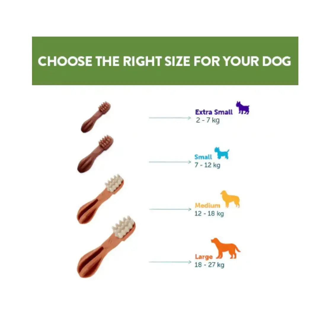 Whimzees Discovery Dog Dental Treats   | Canine & Co