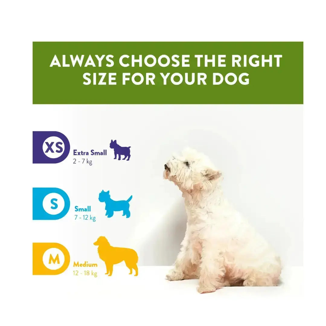 Whimzees Soft Dog Dental Treats   | Canine & Co