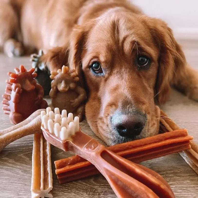 Golden retriever surrounded by dog treats, toys, and dental chews on a wooden floor.