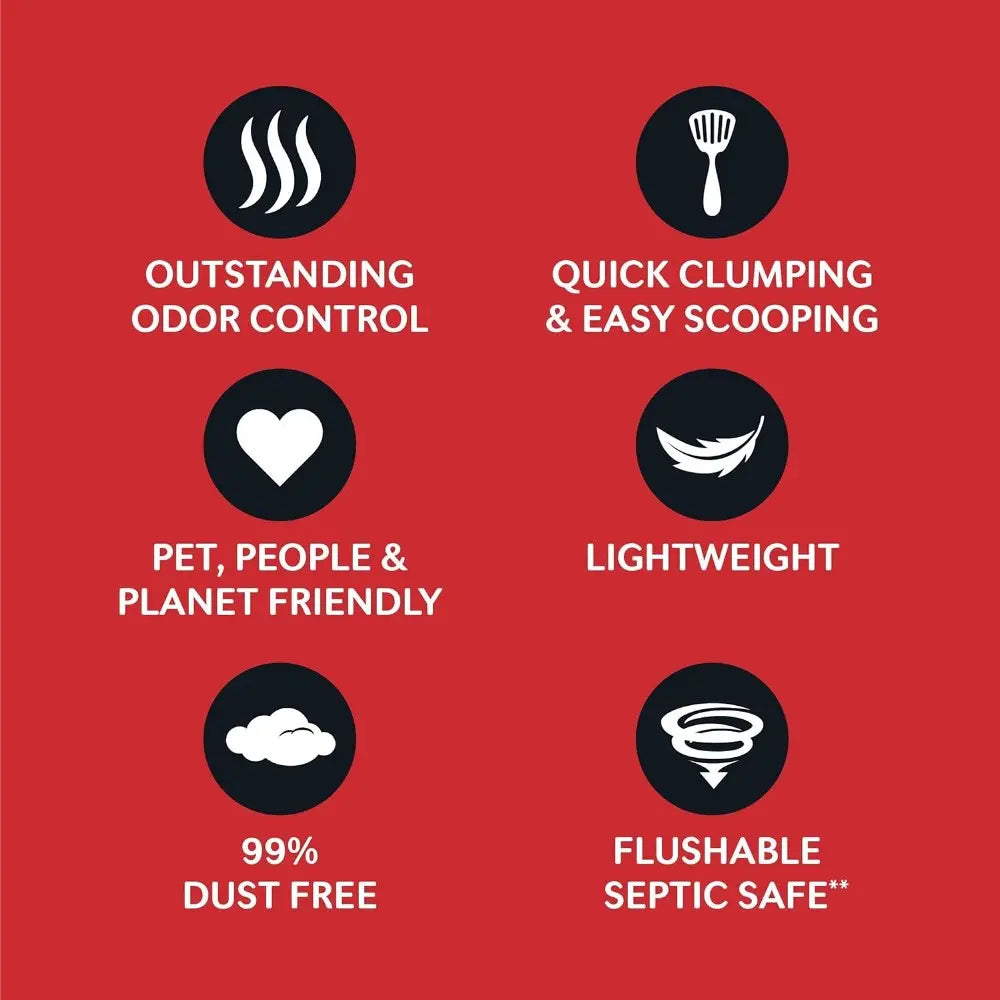 Infographic highlighting features of cat litter: odor control, clumping, eco-friendly, and dust-free.