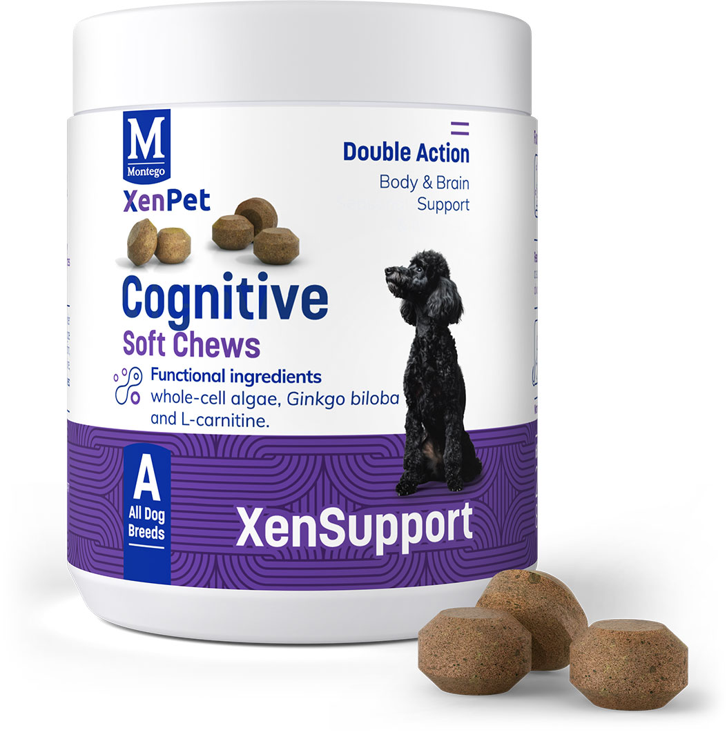 Montego XenPet Cognitive Chews For Dogs   | Canine & Co