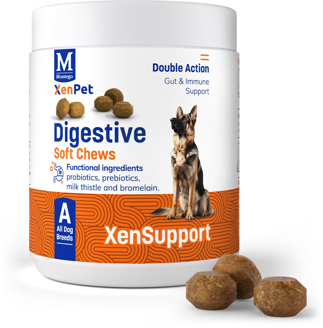 Montego XenPet Digestive Chews For Dogs   | Canine & Co
