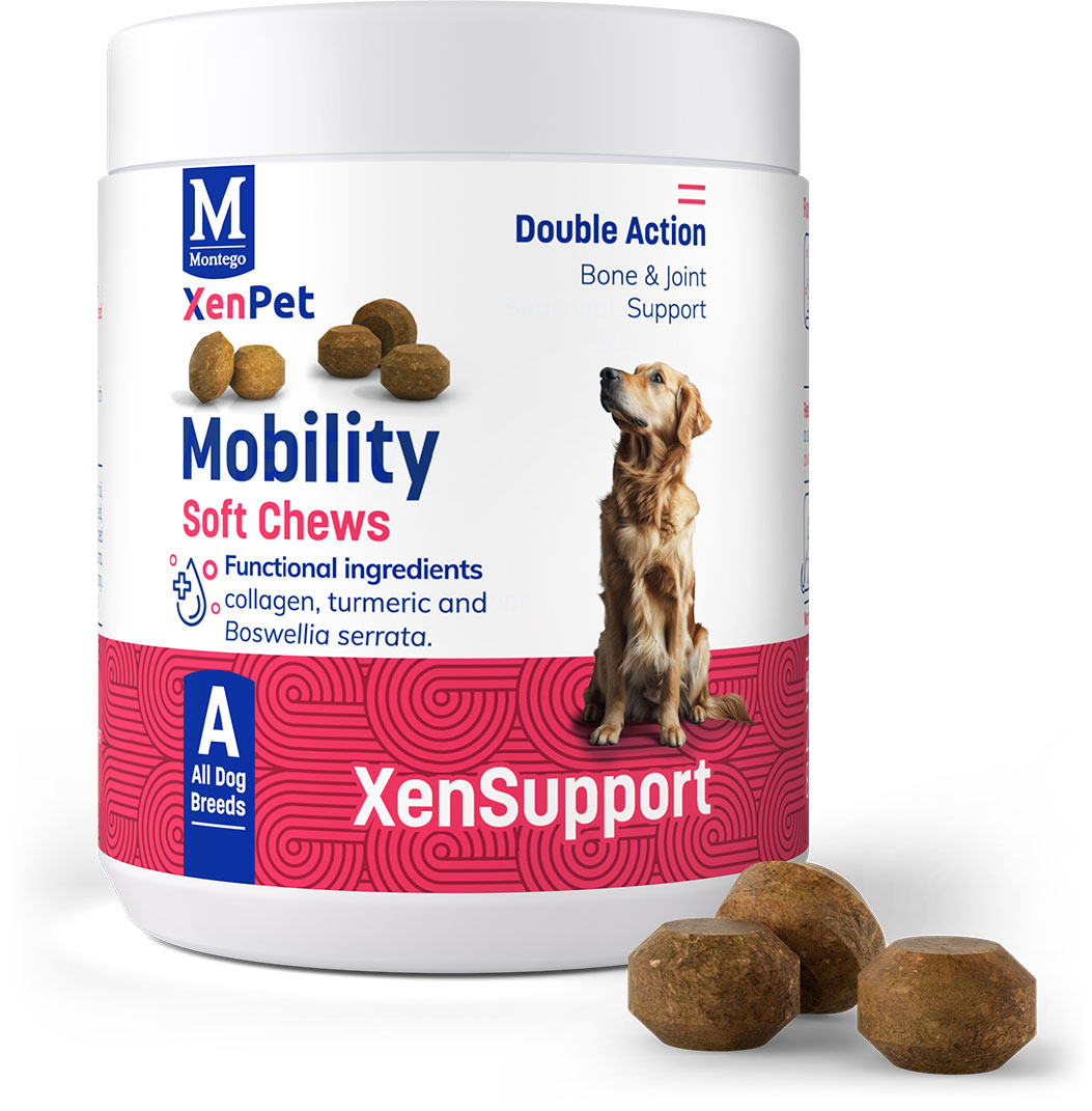 Montego XenPet Mobility Chews For Dogs   | Canine & Co