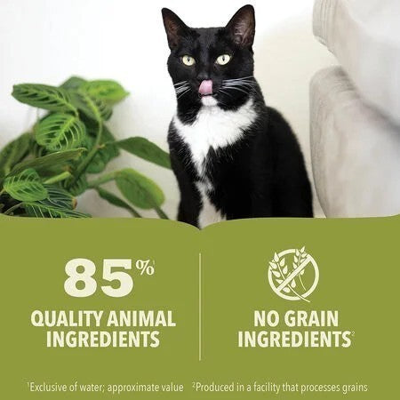 Acana Kitten Premium Pâté Chicken & Fish in Bone Broth Wet Cat Food