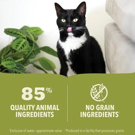 Acana Premium Pâté Lamb in Bone Broth Wet Cat Food