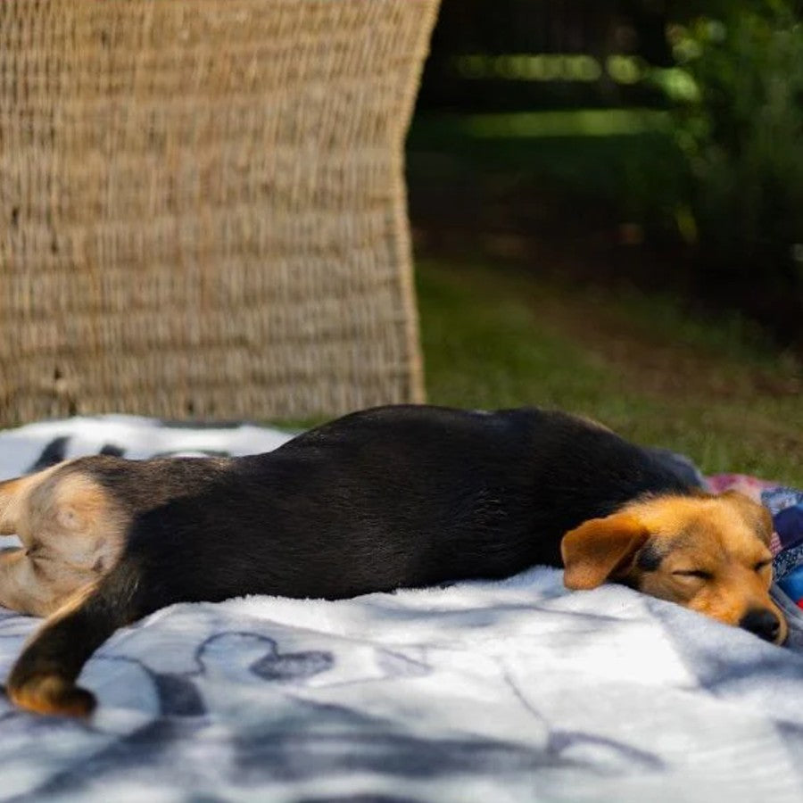 Aranda Finesse Pet Blanket