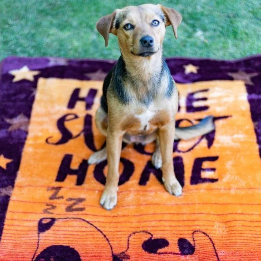 Aranda Finesse Pet Blanket