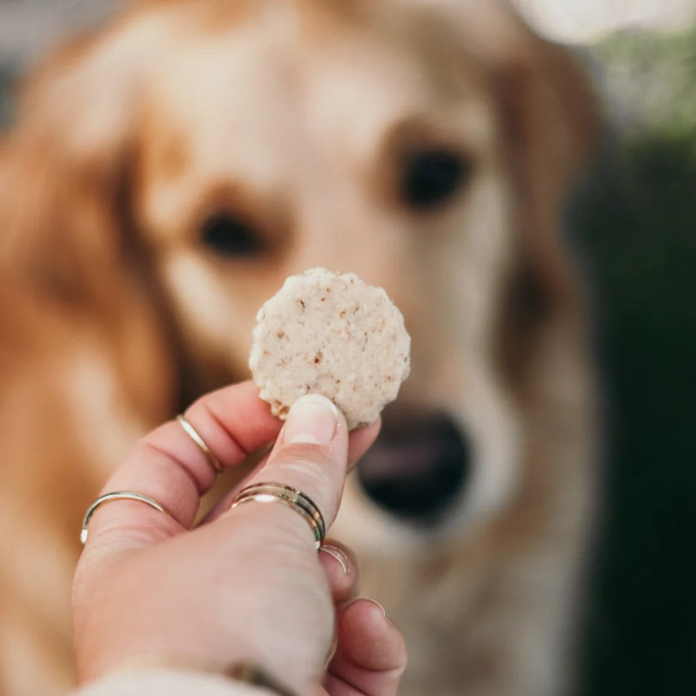 Barkery Bites Wheat-free Beef Biltong