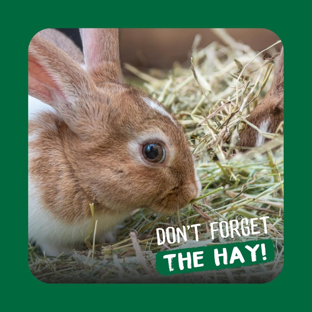 Burgess Excel Feeding Hay Dried Fresh Grass