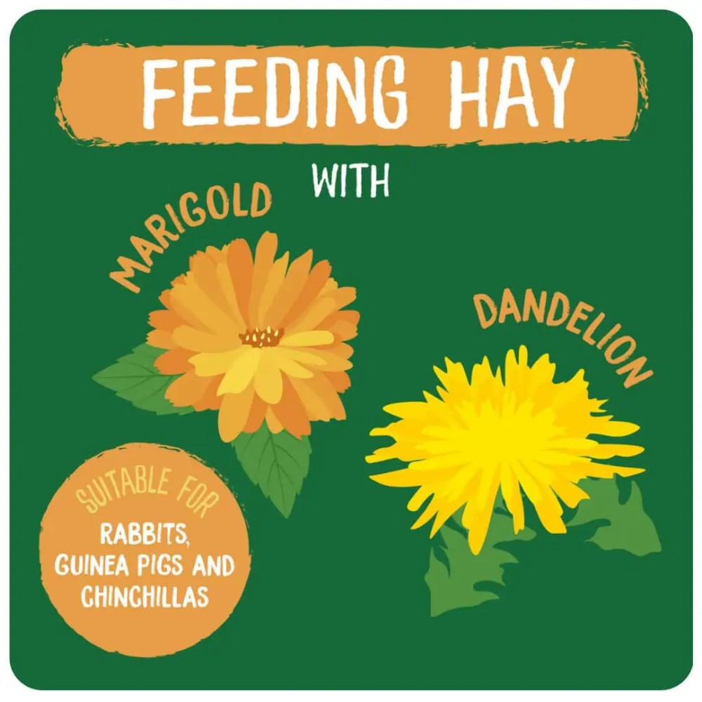 Burgess Excel Feeding Hay with Dandelion & Marigold