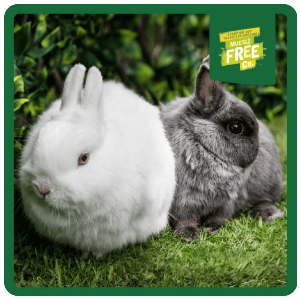 Burgess Excel Junior & Dwarf Rabbit Nuggets with Mint
