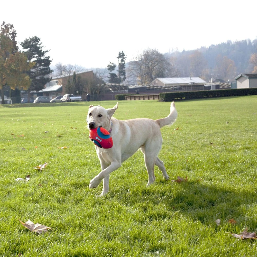 Chuckit! Fumble Fetch Lifestyle Image with Dog