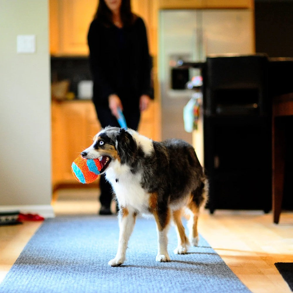 Chuckit! Indoor Ball Lifestyle Image with Dog