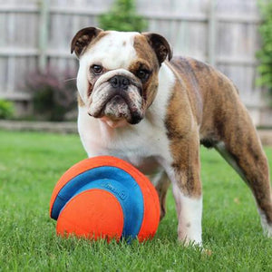 Chuckit! Kick Fetch