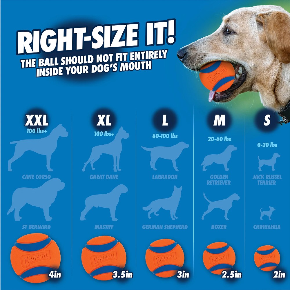 Chuckit! Ultra Squeaker Ball Size Guide