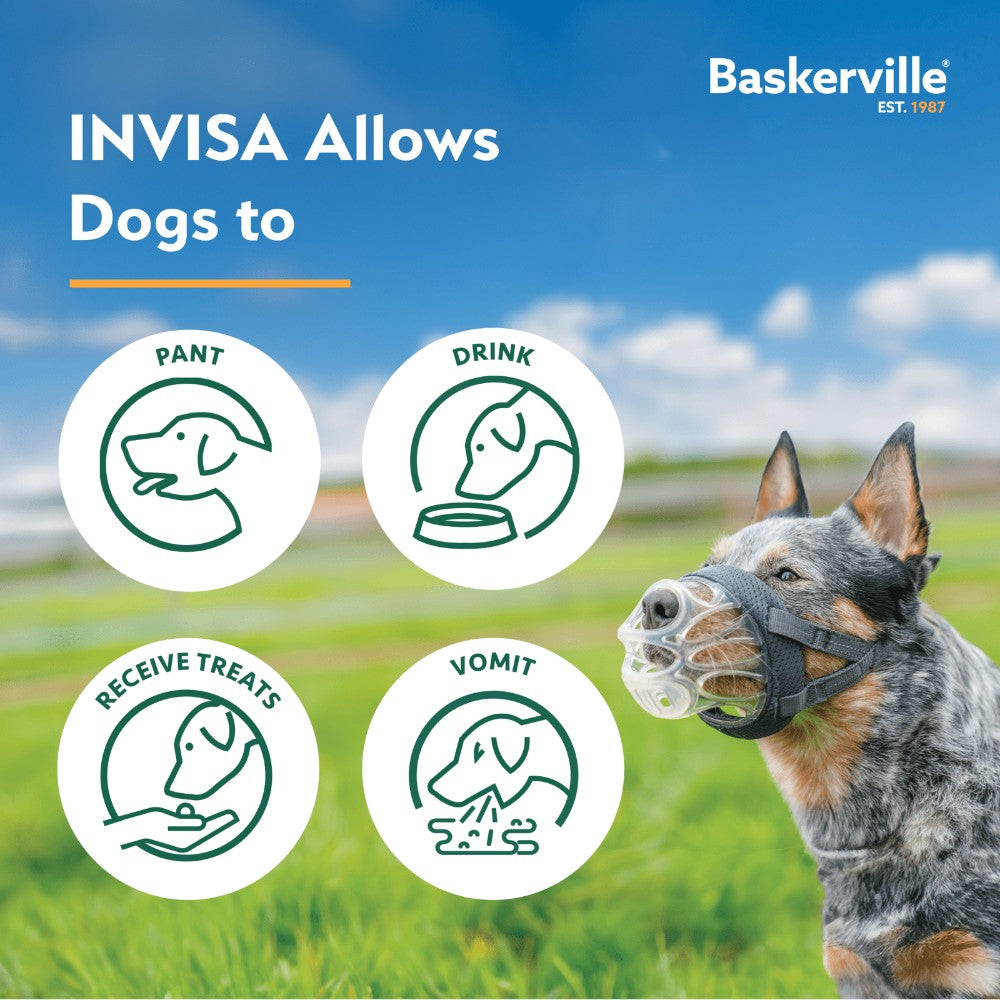 Company of Animals Baskerville Invisa Muzzle - product detail image shop online South Africa