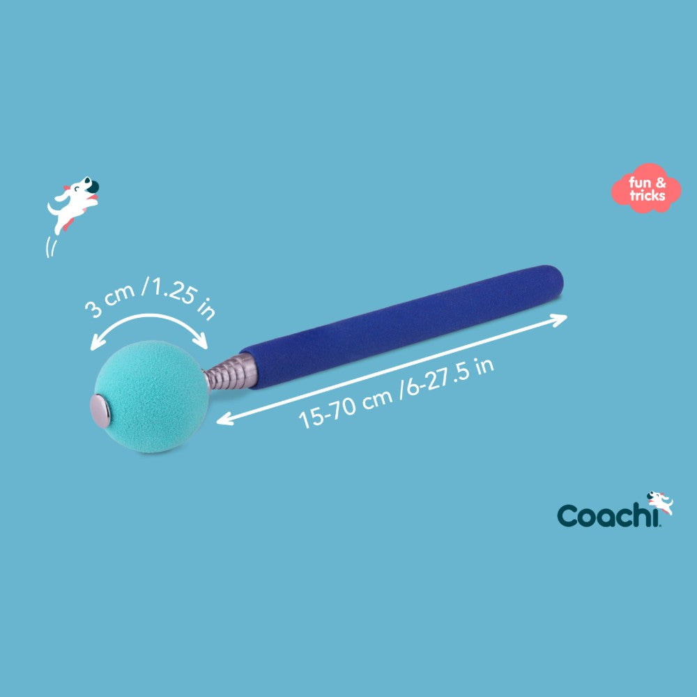 Company of Animals Coachi Target Stick Dimensions