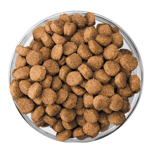 Eukanuba Large Breed Puppy - product detail image South Africa buy now