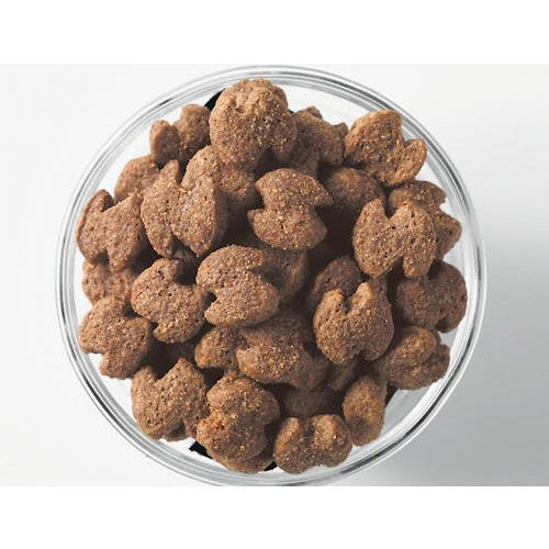 Eukanuba Small Breed Adult - product detail image order online South Africa