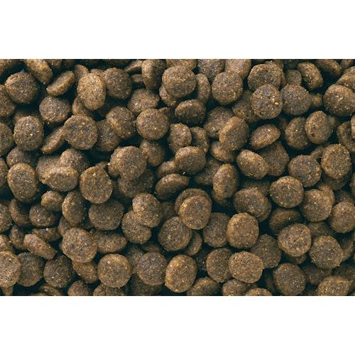Eukanuba Small Breed Puppy - product detail image buy online South Africa